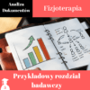 rozdział badawczy do pracy dyplomowej z fizjoterapii analiza dokumentów