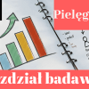 Przykładowe rozdziały badawcze z pielęgniarstwa