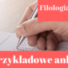 wzór ankiety z filologii angielskiej