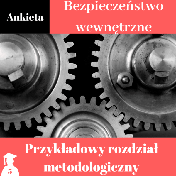 Metodologia bezpieczeństwo wewnętrzne Metodologia bezpieczeństwo wewnętrzne