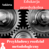 Przykładowy rozdział metodologiczny z edukacji przedszkolnej